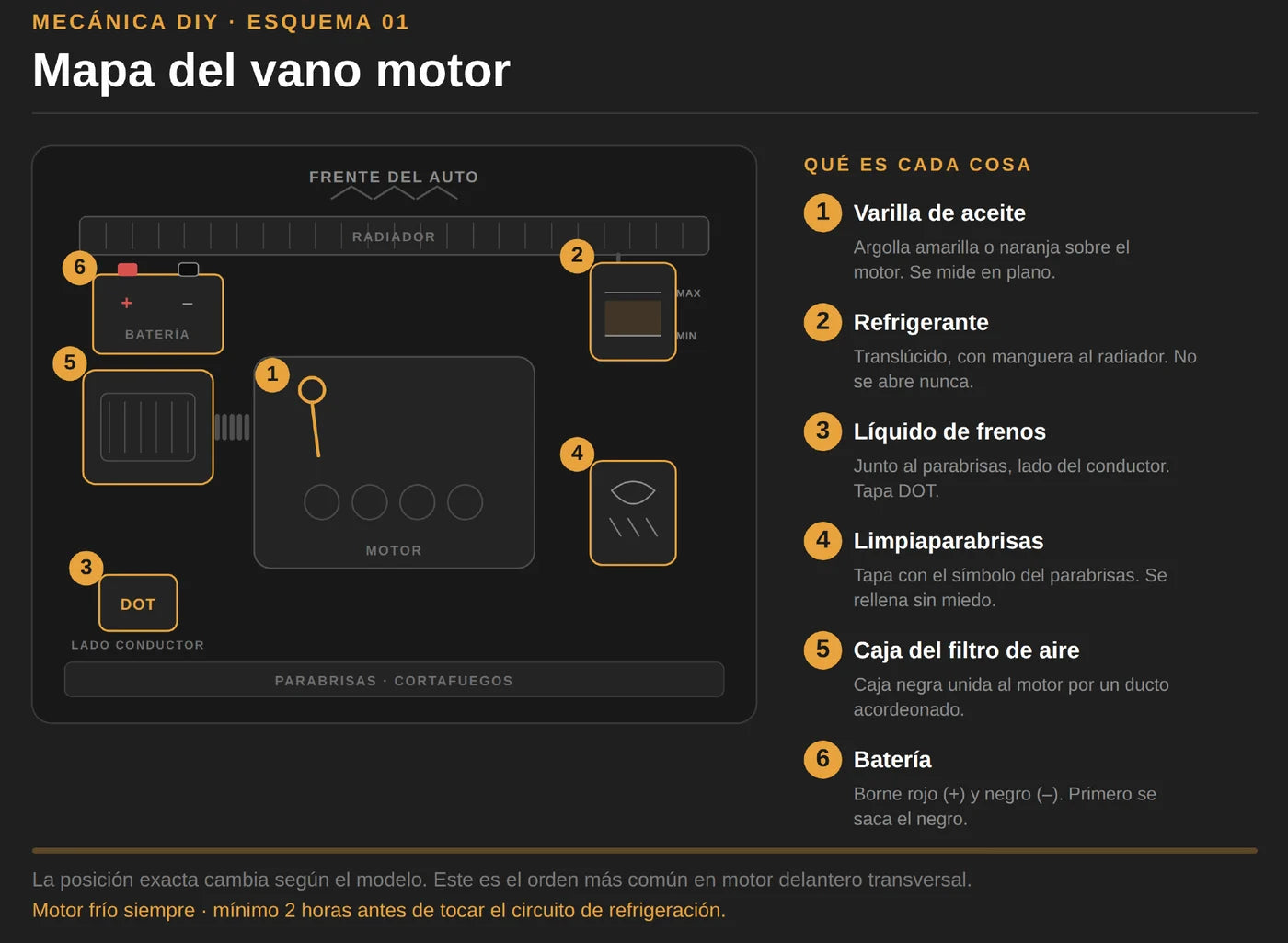 Esquema del vano motor: dónde está cada fluido